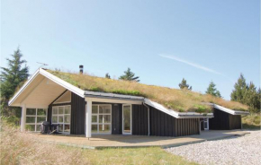Amazing Home In Blokhus With Wifi